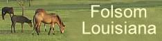 FOLSOM LOUISIANA NEW ORLEANS NORTH