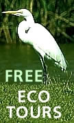 new orleans northshore eco tour